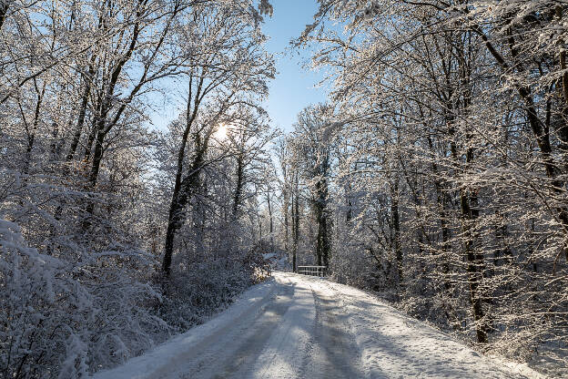 Schirrhein - Schirrhoffen