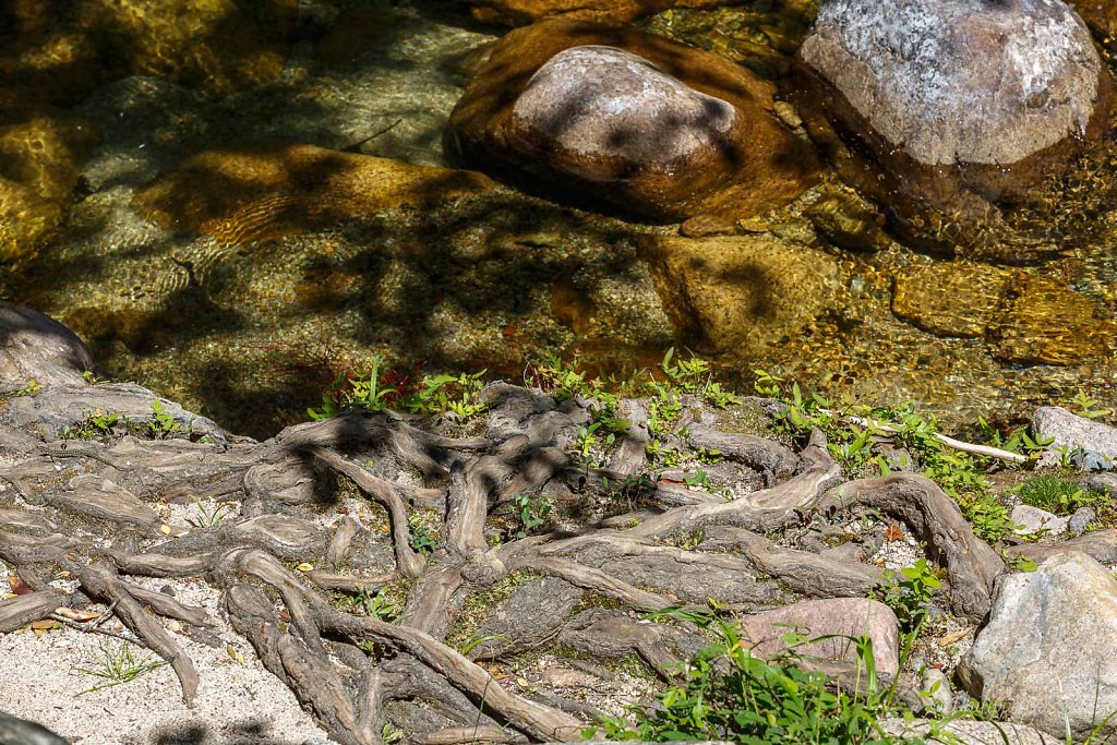 Gorges de Spelunca