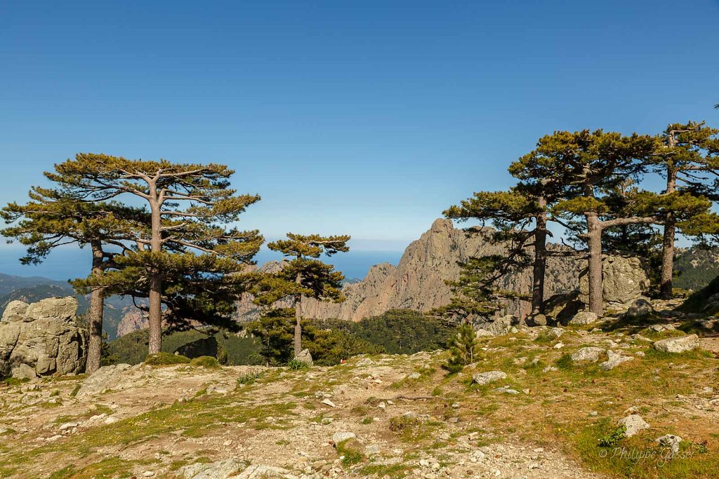 Aiguilles de Bavella