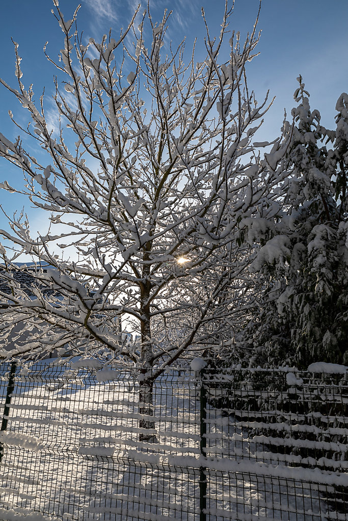 Schirrhein - Schirrhoffen