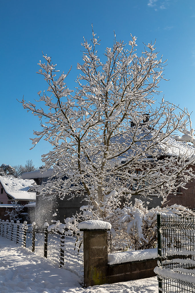 Schirrhein - Schirrhoffen