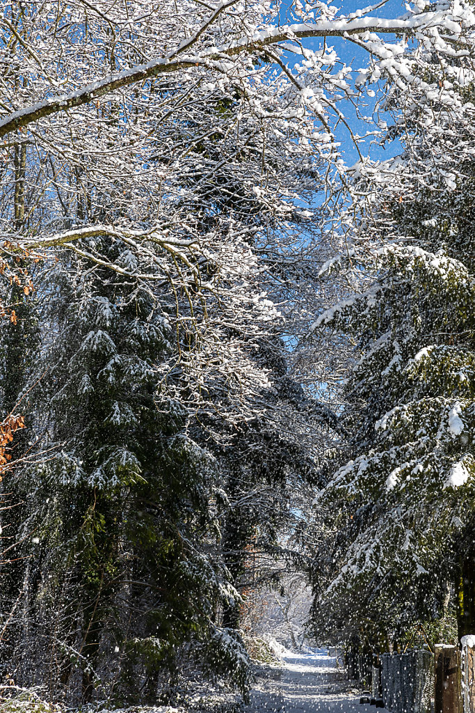 Schirrhein - Schirrhoffen