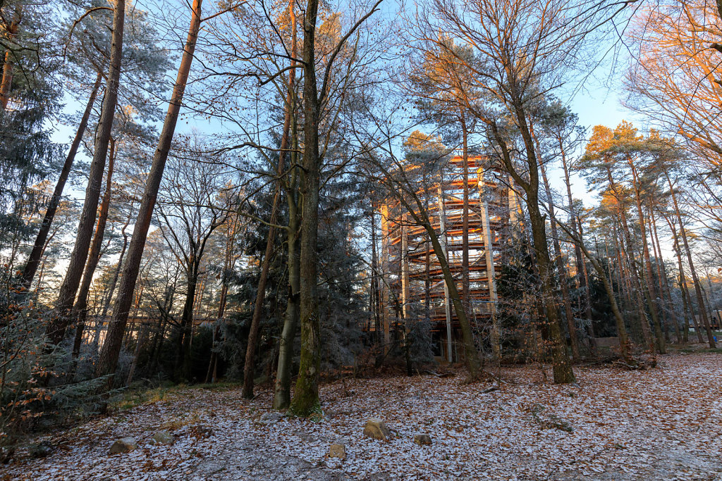 Ambiance givrée