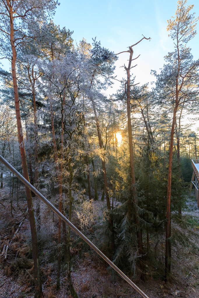 Ambiance givrée