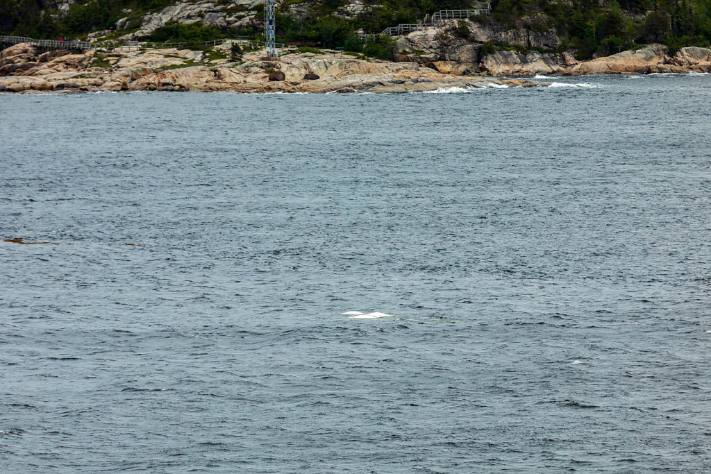 Tadoussac