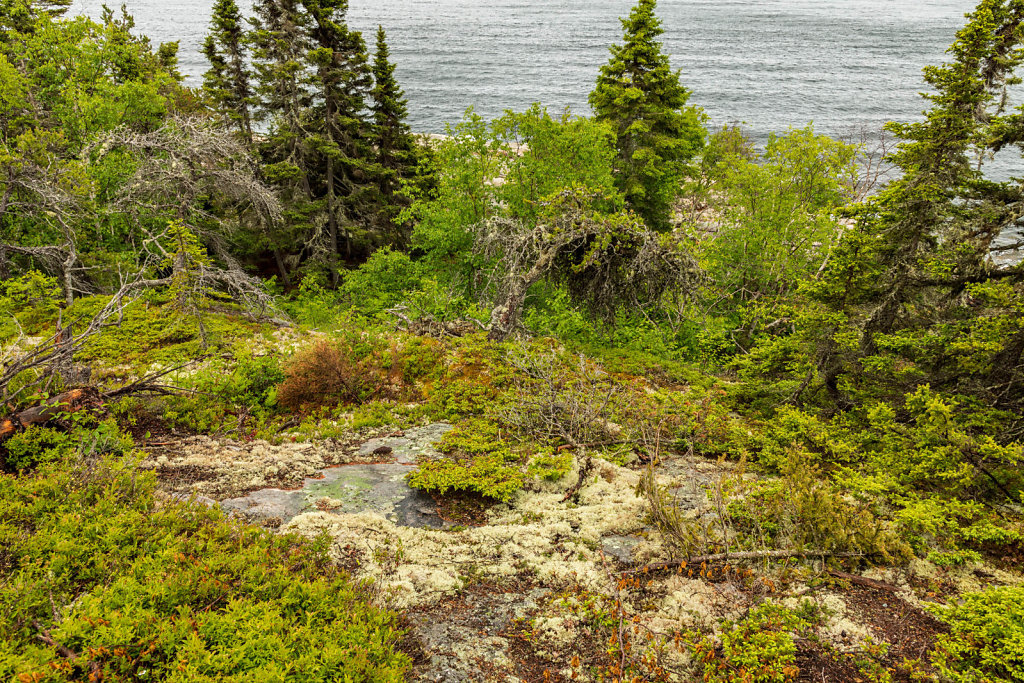 Tadoussac