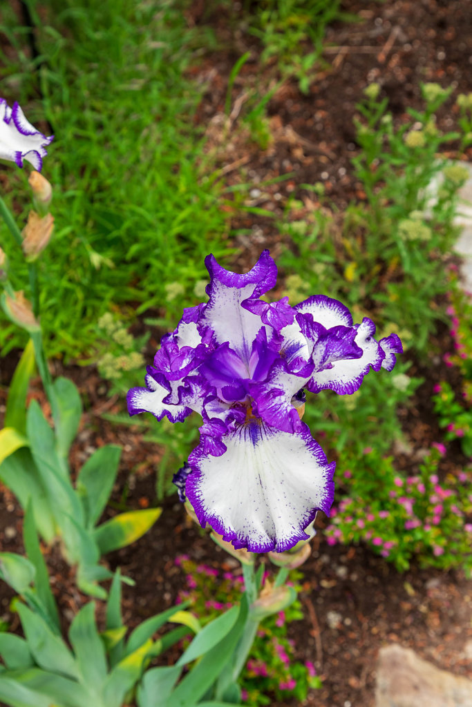 Jardins de Métis