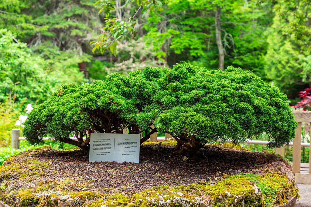 Jardins de Métis