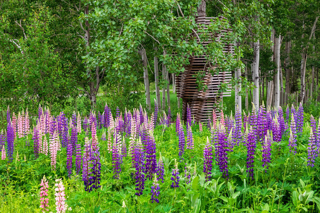 Jardins de Métis